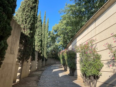 Ampliacio_dels_horaris_i_activitats_culturals_en_els_cementiris_de_Mataro_per_Tots_Sants.jpg