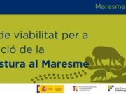 Convocatòria d’un estudi de viabilitat per a l’ampliació de la silvopastura al Maresme