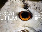 El Mercat del Film de Mataró celebrarà la seva catorzena edició amb una exhibició del millor talent local