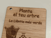 L’Associació de Veïns i Veïnes de La Llàntia organitza la plantació de 30 alzines al barri