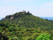 La XI Trobada del Parc Natural del Montseny es consolida com a referent científic