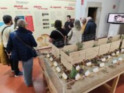 Mataró commemora el seu 40è aniversari de la Mostra de Bolets del Maresme amb un ampli projecte d’activitats