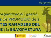 Obre la convocatòria per al disseny i gestió d’una Fira de Productes Ramaders al Maresme