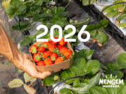 El calendari 2026 de Mengem Maresme homenatja els productors locals d’aliments