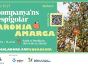 Mataró expandeix les àrees de collita de tarongers per al 2026