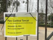 Un temporal de vent provoca la caiguda d’un centenar d’arbres a Mataró