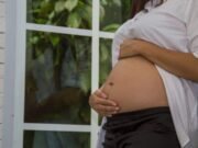 Un antidiabètic i un compost vegetal milloren la reproducció assistida