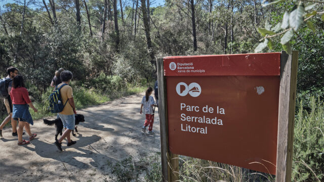 noticia_1782220468.jpg