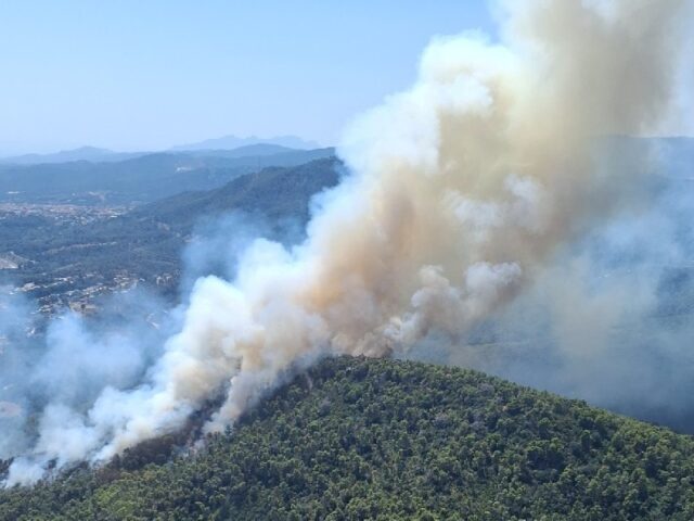 noticia_1783355439.jpg