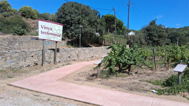 noticia_1789564461.jpg