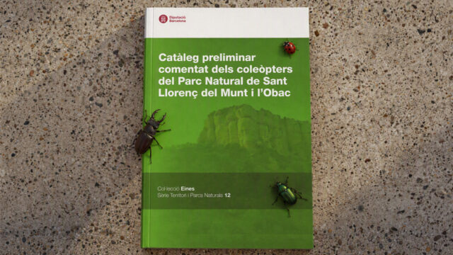 noticia_1793110406.jpg
